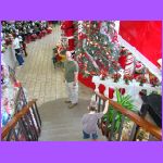 Going to Grandbobby.jpg